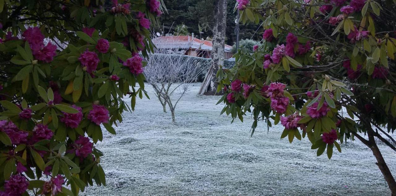 Recanto Da Natureza, Chale Gonçalves 외부 사진